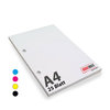 Blöcke DIN A4, 25 Blatt, 4/0-farbig Skala, 2-fach Lochung