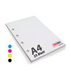 Blöcke DIN A4, 25 Blatt,4/0-farbig Skala,  4-fach Lochung